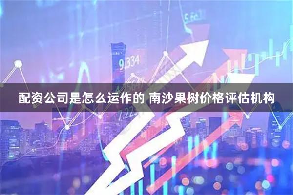 配资公司是怎么运作的 南沙果树价格评估机构