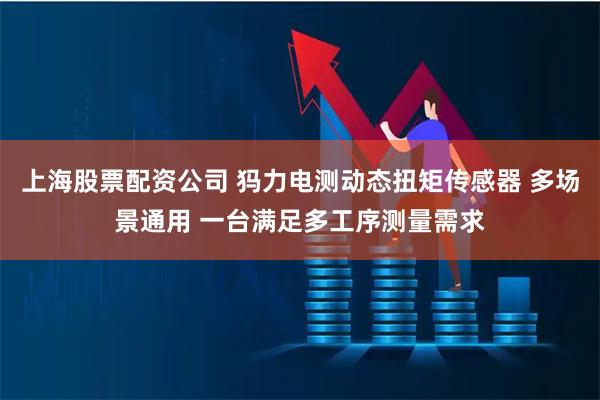 上海股票配资公司 犸力电测动态扭矩传感器 多场景通用 一台满足多工序测量需求